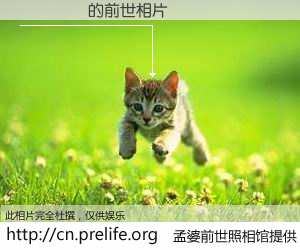 #孟婆前世照相馆# 【��̸� 的前世相片】我们都曾从奈何桥上走过，喝下三碗忘川之水烹煮的孟婆汤，忘却了前尘旧事。孟婆前世照相馆，保存着你前世的数码相片。��̸� 的前世相片，有图有真相：