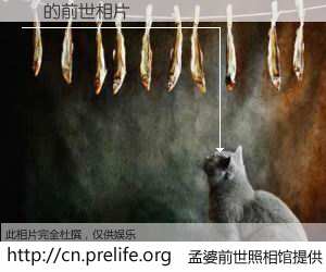 #孟婆前世照相馆# 【係 的前世相片】我们都曾从奈何桥上走过，喝下三碗忘川之水烹煮的孟婆汤，忘却了前尘旧事。孟婆前世照相馆，保存着你前世的数码相片。係 的前世相片，有图有真相：