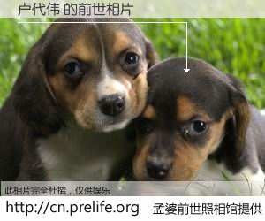 #孟婆前世照相馆# 【卢代伟 的前世相片】我们都曾从奈何桥上走过，喝下三碗忘川之水烹煮的孟婆汤，忘却了前尘旧事。孟婆前世照相馆，保存着你前世的数码相片。卢代伟 的前世相片，有图有真相：