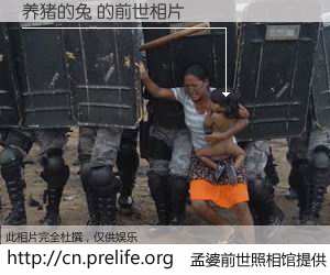 #孟婆前世照相馆# 【养猪的兔 的前世相片】我们都曾从奈何桥上走过，喝下三碗忘川之水烹煮的孟婆汤，忘却了前尘旧事。孟婆前世照相馆，保存着你前世的数码相片。养猪的兔 的前世相片，有图有真相：