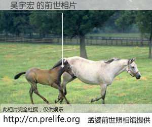 #孟婆前世照相馆# 【吴宇宏 的前世相片】我们都曾从奈何桥上走过，喝下三碗忘川之水烹煮的孟婆汤，忘却了前尘旧事。孟婆前世照相馆，保存着你前世的数码相片。吴宇宏 的前世相片，有图有真相：