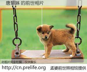 #孟婆前世照相馆# 【唐慧琳 的前世相片】我们都曾从奈何桥上走过，喝下三碗忘川之水烹煮的孟婆汤，忘却了前尘旧事。孟婆前世照相馆，保存着你前世的数码相片。唐慧琳 的前世相片，有图有真相：