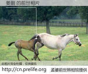 #孟婆前世照相馆# 【姜删 的前世相片】我们都曾从奈何桥上走过，喝下三碗忘川之水烹煮的孟婆汤，忘却了前尘旧事。孟婆前世照相馆，保存着你前世的数码相片。姜删 的前世相片，有图有真相：