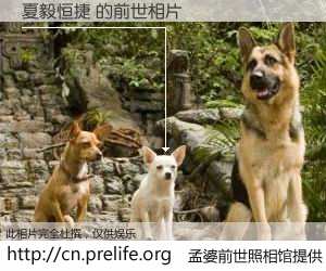 #孟婆前世照相馆# 【夏毅恒捷 的前世相片】我们都曾从奈何桥上走过，喝下三碗忘川之水烹煮的孟婆汤，忘却了前尘旧事。孟婆前世照相馆，保存着你前世的数码相片。夏毅恒捷 的前世相片，有图有真相：