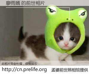 #孟婆前世照相馆# 【廖雨嫣 的前世相片】我们都曾从奈何桥上走过，喝下三碗忘川之水烹煮的孟婆汤，忘却了前尘旧事。孟婆前世照相馆，保存着你前世的数码相片。廖雨嫣 的前世相片，有图有真相：