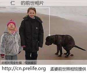 #孟婆前世照相馆# 【張仁獻 的前世相片】我们都曾从奈何桥上走过，喝下三碗忘川之水烹煮的孟婆汤，忘却了前尘旧事。孟婆前世照相馆，保存着你前世的数码相片。張仁獻 的前世相片，有图有真相：