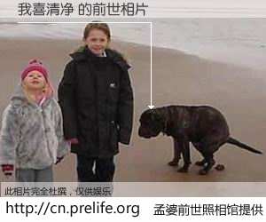 #孟婆前世照相馆# 【我喜清净 的前世相片】我们都曾从奈何桥上走过，喝下三碗忘川之水烹煮的孟婆汤，忘却了前尘旧事。孟婆前世照相馆，保存着你前世的数码相片。我喜清净 的前世相片，有图有真相：