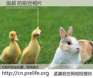 #孟婆前世照相馆# 【房叔 的前世相片】我们都曾从奈何桥上走过，喝下三碗忘川之水烹煮的孟婆汤，忘却了前尘旧事。孟婆前世照相馆，保存着你前世的数码相片。房叔 的前世相片，有图有真相：