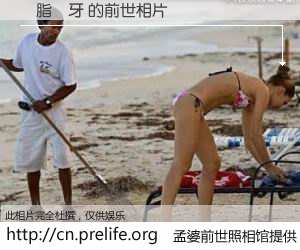 #孟婆前世照相馆# 【樹脂補牙 的前世相片】我们都曾从奈何桥上走过，喝下三碗忘川之水烹煮的孟婆汤，忘却了前尘旧事。孟婆前世照相馆，保存着你前世的数码相片。樹脂補牙 的前世相片，有图有真相：