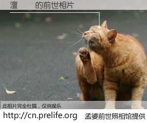 #孟婆前世照相馆# 【澶曢湩 的前世相片】我们都曾从奈何桥上走过，喝下三碗忘川之水烹煮的孟婆汤，忘却了前尘旧事。孟婆前世照相馆，保存着你前世的数码相片。澶曢湩 的前世相片，有图有真相：