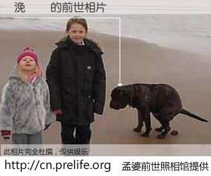 #孟婆前世照相馆# 【浼忛浄 的前世相片】我们都曾从奈何桥上走过，喝下三碗忘川之水烹煮的孟婆汤，忘却了前尘旧事。孟婆前世照相馆，保存着你前世的数码相片。浼忛浄 的前世相片，有图有真相：