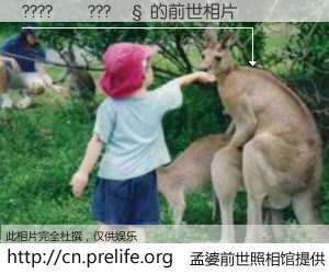 #孟婆前世照相馆# 【????��???�� 的前世相片】我们都曾从奈何桥上走过，喝下三碗忘川之水烹煮的孟婆汤，忘却了前尘旧事。孟婆前世照相馆，保存着你前世的数码相片。????��???�� 的前世相片，有图有真相：