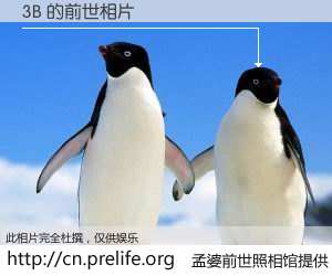 #孟婆前世照相馆# 【3B 的前世相片】我们都曾从奈何桥上走过，喝下三碗忘川之水烹煮的孟婆汤，忘却了前尘旧事。孟婆前世照相馆，保存着你前世的数码相片。3B 的前世相片，有图有真相：