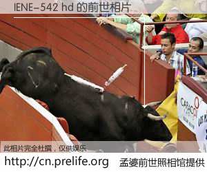 #孟婆前世照相馆# 【IENE-542 hd 的前世相片】我们都曾从奈何桥上走过，喝下三碗忘川之水烹煮的孟婆汤，忘却了前尘旧事。孟婆前世照相馆，保存着你前世的数码相片。IENE-542 hd 的前世相片，有图有真相：