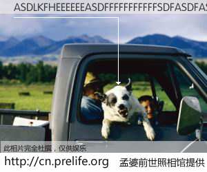 #孟婆前世照相馆# 【ASDLKFHEEEEEEASDFFFFFFFFFFFSDFASDFASDFASDFEEEEEEEAAAAAAAAAAAFHLOAIDUFI 的前世相片】我们都曾从奈何桥上走过，喝下三碗忘川之水烹煮的孟婆汤，忘却了前尘旧事。孟婆前世照相馆，保存着你前世的数码相片。ASDLKFHEEEEEEASDFFFFFFFFFFFSDFASDFASDFASDFEEEEEEEAAAAAAAAAAAFHLOAIDUFI 的前世相片，有图有真相：