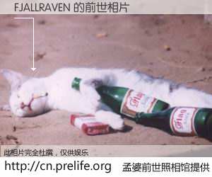 #孟婆前世照相馆# 【FJALLRAVEN 的前世相片】我们都曾从奈何桥上走过，喝下三碗忘川之水烹煮的孟婆汤，忘却了前尘旧事。孟婆前世照相馆，保存着你前世的数码相片。FJALLRAVEN 的前世相片，有图有真相：