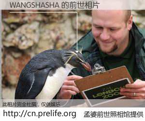 #孟婆前世照相馆# 【WANGSHASHA 的前世相片】我们都曾从奈何桥上走过，喝下三碗忘川之水烹煮的孟婆汤，忘却了前尘旧事。孟婆前世照相馆，保存着你前世的数码相片。WANGSHASHA 的前世相片，有图有真相：
