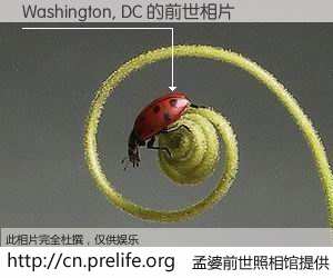 #孟婆前世照相馆# 【Washington, DC 的前世相片】我们都曾从奈何桥上走过，喝下三碗忘川之水烹煮的孟婆汤，忘却了前尘旧事。孟婆前世照相馆，保存着你前世的数码相片。Washington, DC 的前世相片，有图有真相：