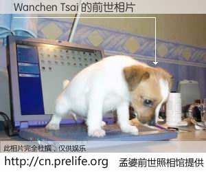 #孟婆前世照相馆# 【Wanchen Tsai 的前世相片】我们都曾从奈何桥上走过，喝下三碗忘川之水烹煮的孟婆汤，忘却了前尘旧事。孟婆前世照相馆，保存着你前世的数码相片。Wanchen Tsai 的前世相片，有图有真相：