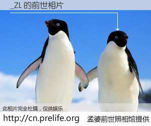 #孟婆前世照相馆# 【_ZL 的前世相片】我们都曾从奈何桥上走过，喝下三碗忘川之水烹煮的孟婆汤，忘却了前尘旧事。孟婆前世照相馆，保存着你前世的数码相片。_ZL 的前世相片，有图有真相：