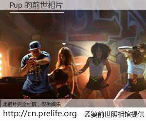#孟婆前世照相馆# 【Pup 的前世相片】我们都曾从奈何桥上走过，喝下三碗忘川之水烹煮的孟婆汤，忘却了前尘旧事。孟婆前世照相馆，保存着你前世的数码相片。Pup 的前世相片，有图有真相：