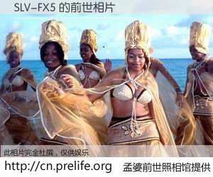 #孟婆前世照相馆# 【SLV-FX5 的前世相片】我们都曾从奈何桥上走过，喝下三碗忘川之水烹煮的孟婆汤，忘却了前尘旧事。孟婆前世照相馆，保存着你前世的数码相片。SLV-FX5 的前世相片，有图有真相：