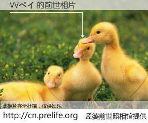 #孟婆前世照相馆# 【VVペイ 的前世相片】我们都曾从奈何桥上走过，喝下三碗忘川之水烹煮的孟婆汤，忘却了前尘旧事。孟婆前世照相馆，保存着你前世的数码相片。VVペイ 的前世相片，有图有真相：