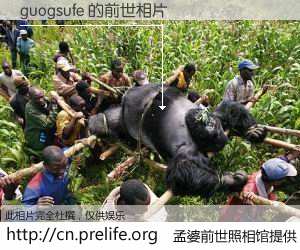 #孟婆前世照相馆# 【guogsufe 的前世相片】我们都曾从奈何桥上走过，喝下三碗忘川之水烹煮的孟婆汤，忘却了前尘旧事。孟婆前世照相馆，保存着你前世的数码相片。guogsufe 的前世相片，有图有真相：