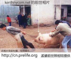 #孟婆前世照相馆# 【kenthnycom.net 的前世相片】我们都曾从奈何桥上走过，喝下三碗忘川之水烹煮的孟婆汤，忘却了前尘旧事。孟婆前世照相馆，保存着你前世的数码相片。kenthnycom.net 的前世相片，有图有真相：