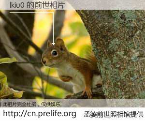 #孟婆前世照相馆# 【lkiu0 的前世相片】我们都曾从奈何桥上走过，喝下三碗忘川之水烹煮的孟婆汤，忘却了前尘旧事。孟婆前世照相馆，保存着你前世的数码相片。lkiu0 的前世相片，有图有真相：