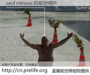#孟婆前世照相馆# 【oeuf mimosa 的前世相片】我们都曾从奈何桥上走过,喝下三碗忘川之水烹煮的孟婆汤,忘却了前尘旧事。孟婆前世照相馆,保存着你前世的数码相片。oeuf mimosa 的前世相片,有图有真相: