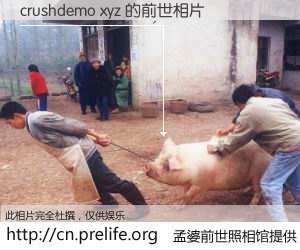#孟婆前世照相馆# 【crushdemo xyz 的前世相片】我们都曾从奈何桥上走过，喝下三碗忘川之水烹煮的孟婆汤，忘却了前尘旧事。孟婆前世照相馆，保存着你前世的数码相片。crushdemo xyz 的前世相片，有图有真相：