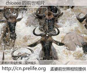 #孟婆前世照相馆# 【chloeee 的前世相片】我们都曾从奈何桥上走过，喝下三碗忘川之水烹煮的孟婆汤，忘却了前尘旧事。孟婆前世照相馆，保存着你前世的数码相片。chloeee 的前世相片，有图有真相：