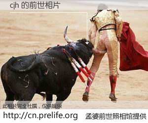 #孟婆前世照相馆# 【cjh 的前世相片】我们都曾从奈何桥上走过，喝下三碗忘川之水烹煮的孟婆汤，忘却了前尘旧事。孟婆前世照相馆，保存着你前世的数码相片。cjh 的前世相片，有图有真相：