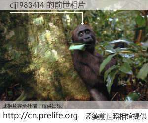 #孟婆前世照相馆# 【cjj1983414 的前世相片】我们都曾从奈何桥上走过，喝下三碗忘川之水烹煮的孟婆汤，忘却了前尘旧事。孟婆前世照相馆，保存着你前世的数码相片。cjj1983414 的前世相片，有图有真相：