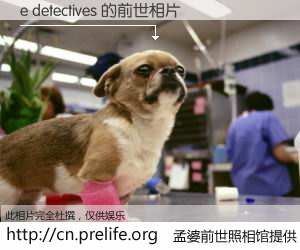 #孟婆前世照相馆# 【e detectives 的前世相片】我们都曾从奈何桥上走过，喝下三碗忘川之水烹煮的孟婆汤，忘却了前尘旧事。孟婆前世照相馆，保存着你前世的数码相片。e detectives 的前世相片，有图有真相：