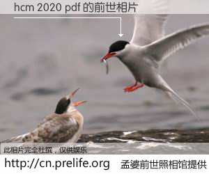 #孟婆前世照相馆# 【hcm 2020 pdf 的前世相片】我们都曾从奈何桥上走过，喝下三碗忘川之水烹煮的孟婆汤，忘却了前尘旧事。孟婆前世照相馆，保存着你前世的数码相片。hcm 2020 pdf 的前世相片，有图有真相：
