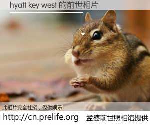 #孟婆前世照相馆# 【hyatt key west 的前世相片】我们都曾从奈何桥上走过，喝下三碗忘川之水烹煮的孟婆汤，忘却了前尘旧事。孟婆前世照相馆，保存着你前世的数码相片。hyatt key west 的前世相片，有图有真相：