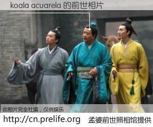 #孟婆前世照相馆# 【koala acuarela 的前世相片】我们都曾从奈何桥上走过,喝下三碗忘川之水烹煮的孟婆汤,忘却了前尘旧事。孟婆前世照相馆,保存着你前世的数码相片。koala acuarela 的前世相片,有图有真相: