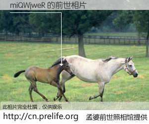 #孟婆前世照相馆# 【miQWjweR 的前世相片】我们都曾从奈何桥上走过，喝下三碗忘川之水烹煮的孟婆汤，忘却了前尘旧事。孟婆前世照相馆，保存着你前世的数码相片。miQWjweR 的前世相片，有图有真相：