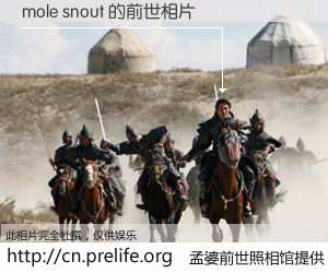 #孟婆前世照相馆# 【mole snout 的前世相片】我们都曾从奈何桥上走过，喝下三碗忘川之水烹煮的孟婆汤，忘却了前尘旧事。孟婆前世照相馆，保存着你前世的数码相片。mole snout 的前世相片，有图有真相：
