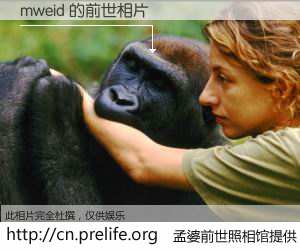 #孟婆前世照相馆# 【mweid 的前世相片】我们都曾从奈何桥上走过，喝下三碗忘川之水烹煮的孟婆汤，忘却了前尘旧事。孟婆前世照相馆，保存着你前世的数码相片。mweid 的前世相片，有图有真相：