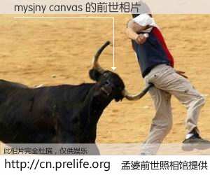 #孟婆前世照相馆# 【mysjny canvas 的前世相片】我们都曾从奈何桥上走过，喝下三碗忘川之水烹煮的孟婆汤，忘却了前尘旧事。孟婆前世照相馆，保存着你前世的数码相片。mysjny canvas 的前世相片，有图有真相：