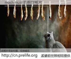 #孟婆前世照相馆# 【much must 的前世相片】我们都曾从奈何桥上走过，喝下三碗忘川之水烹煮的孟婆汤，忘却了前尘旧事。孟婆前世照相馆，保存着你前世的数码相片。much must 的前世相片，有图有真相：