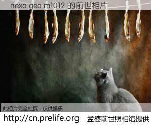 #孟婆前世照相馆# 【nexo geo m1012 的前世相片】我们都曾从奈何桥上走过，喝下三碗忘川之水烹煮的孟婆汤，忘却了前尘旧事。孟婆前世照相馆，保存着你前世的数码相片。nexo geo m1012 的前世相片，有图有真相：