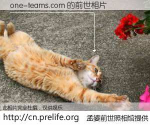 #孟婆前世照相馆# 【one-teams.com 的前世相片】我们都曾从奈何桥上走过，喝下三碗忘川之水烹煮的孟婆汤，忘却了前尘旧事。孟婆前世照相馆，保存着你前世的数码相片。one-teams.com 的前世相片，有图有真相：