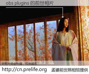 #孟婆前世照相馆# 【obs plugins 的前世相片】我们都曾从奈何桥上走过，喝下三碗忘川之水烹煮的孟婆汤，忘却了前尘旧事。孟婆前世照相馆，保存着你前世的数码相片。obs plugins 的前世相片，有图有真相：