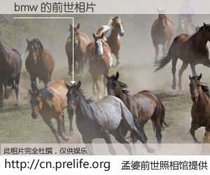 #孟婆前世照相馆# 【bmw 的前世相片】我们都曾从奈何桥上走过，喝下三碗忘川之水烹煮的孟婆汤，忘却了前尘旧事。孟婆前世照相馆，保存着你前世的数码相片。bmw 的前世相片，有图有真相：