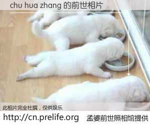 #孟婆前世照相馆# 【chu hua zhang 的前世相片】我们都曾从奈何桥上走过，喝下三碗忘川之水烹煮的孟婆汤，忘却了前尘旧事。孟婆前世照相馆，保存着你前世的数码相片。chu hua zhang 的前世相片，有图有真相：