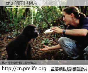 #孟婆前世照相馆# 【cnu 的前世相片】我们都曾从奈何桥上走过，喝下三碗忘川之水烹煮的孟婆汤，忘却了前尘旧事。孟婆前世照相馆，保存着你前世的数码相片。cnu 的前世相片，有图有真相：